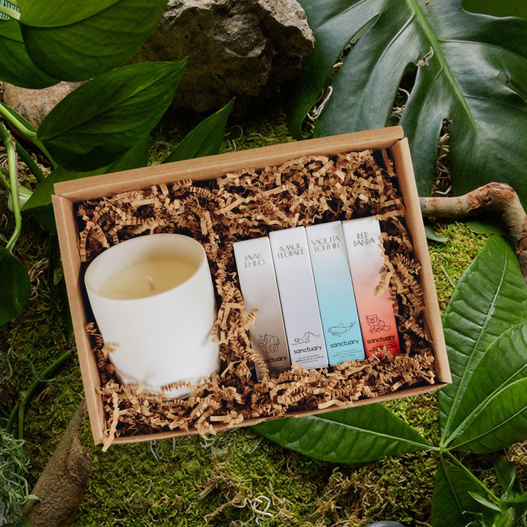 vellabox candle and perfumes earth day