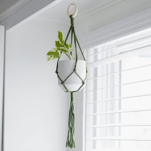Macrame Plant Hanger - Image 2