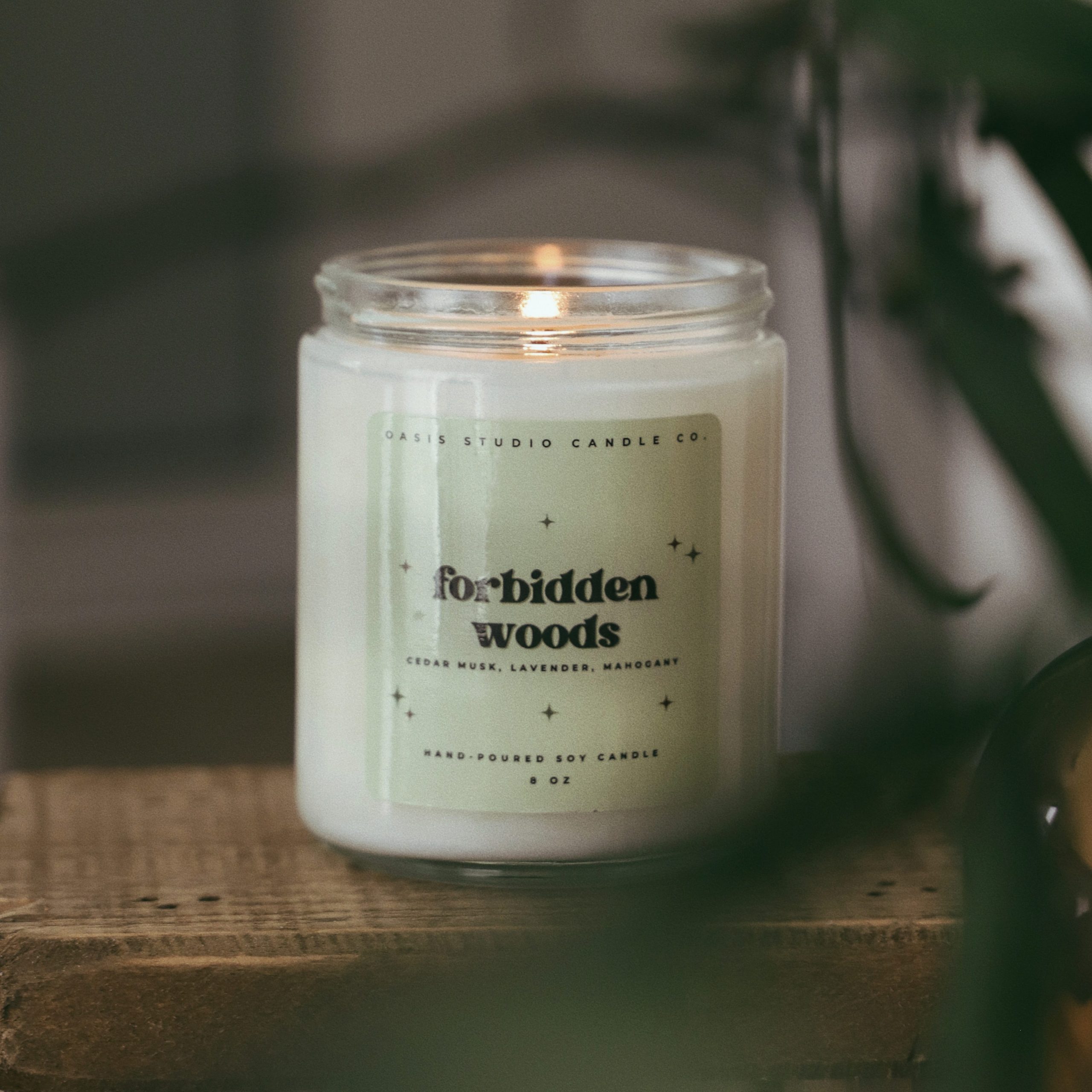 forbidden woods candle by oasis studio featured in vellabox