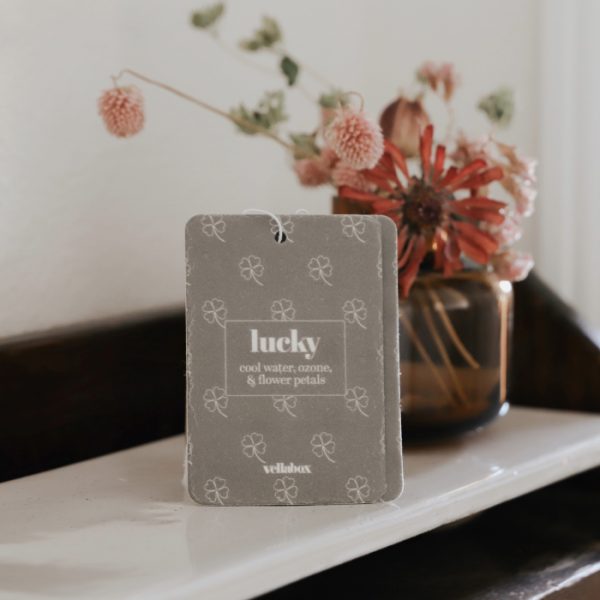 Lucky Hanging Air Freshener - Image 3