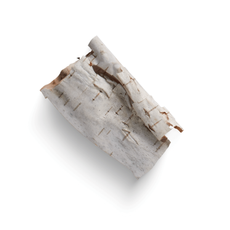 Birch