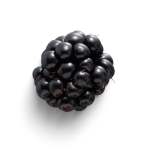 Blackberry