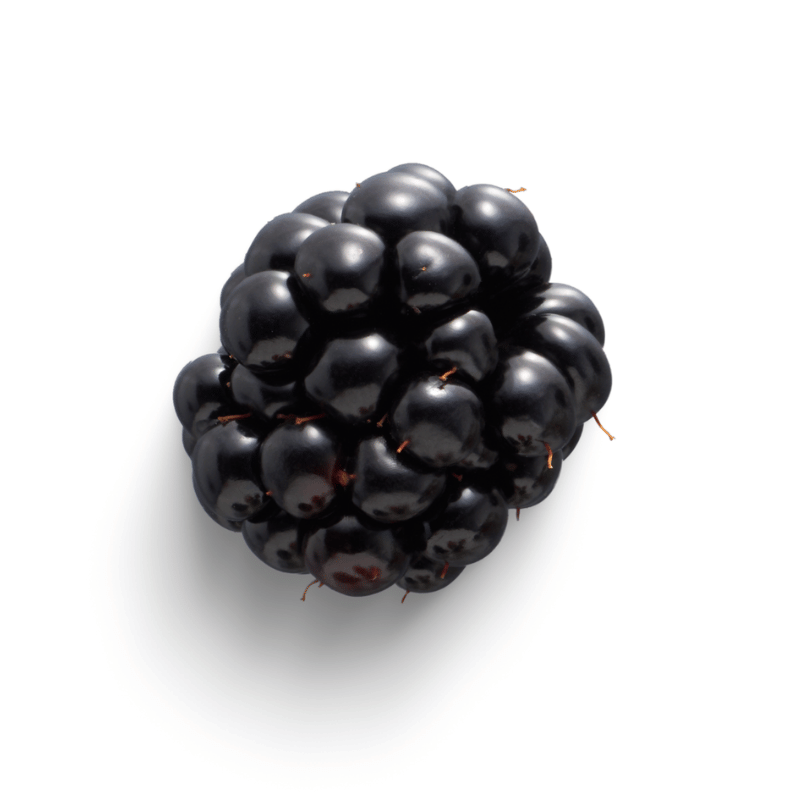 Blackberry