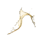 Champagne