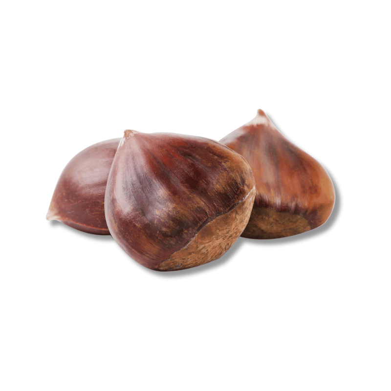 Chestnut