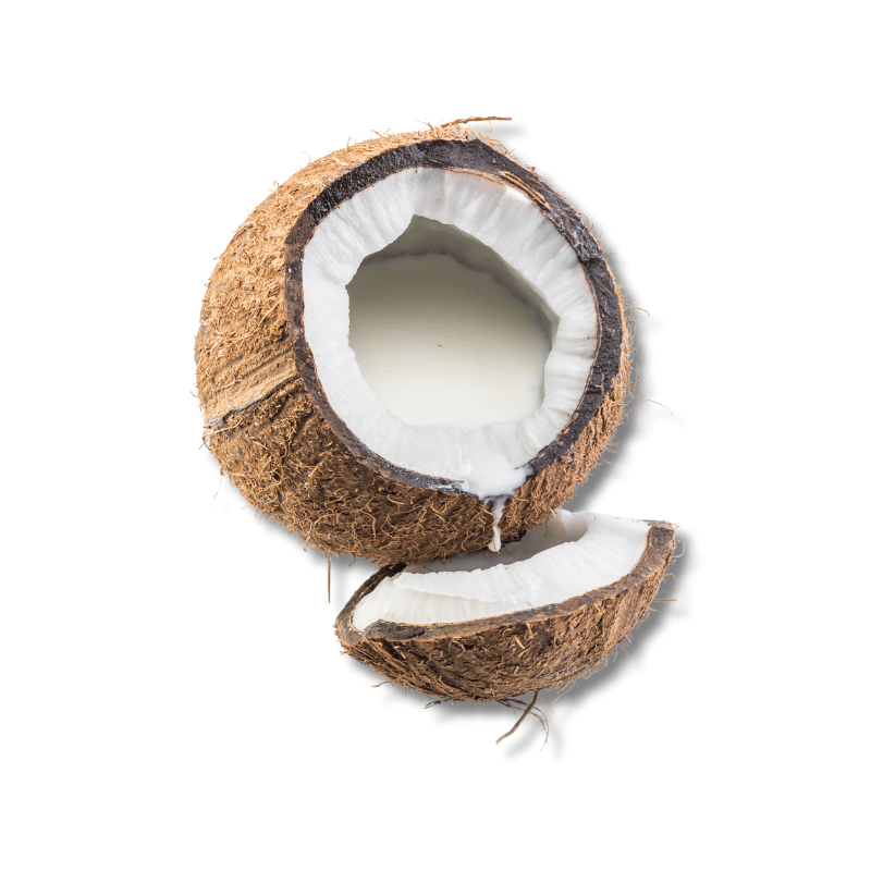 Coconut Milk