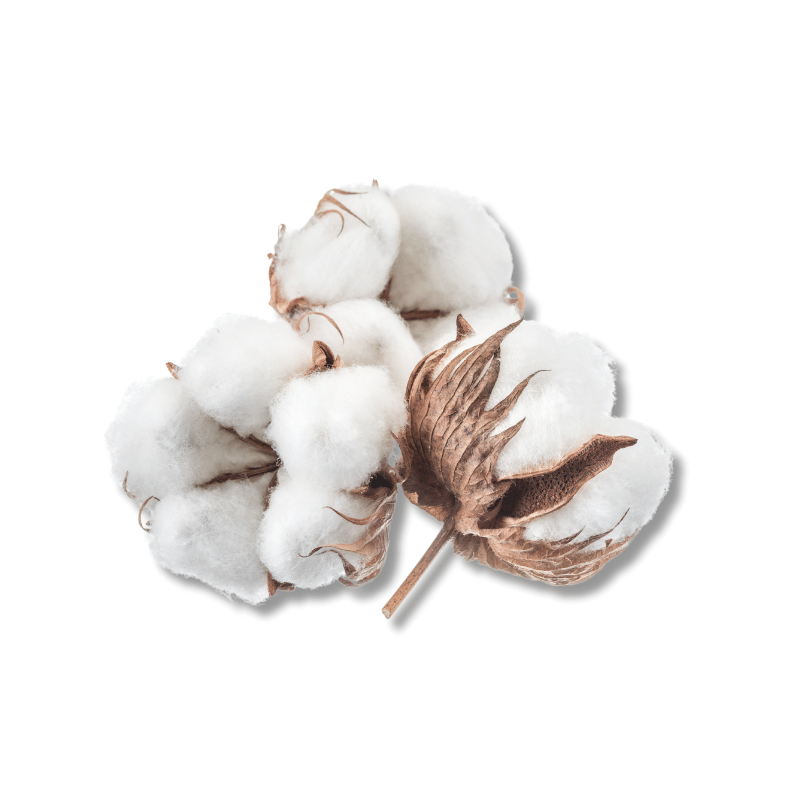 Cotton