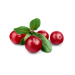 Cranberry