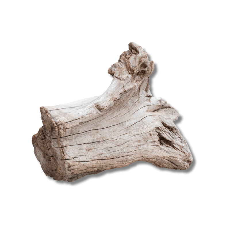 Driftwood