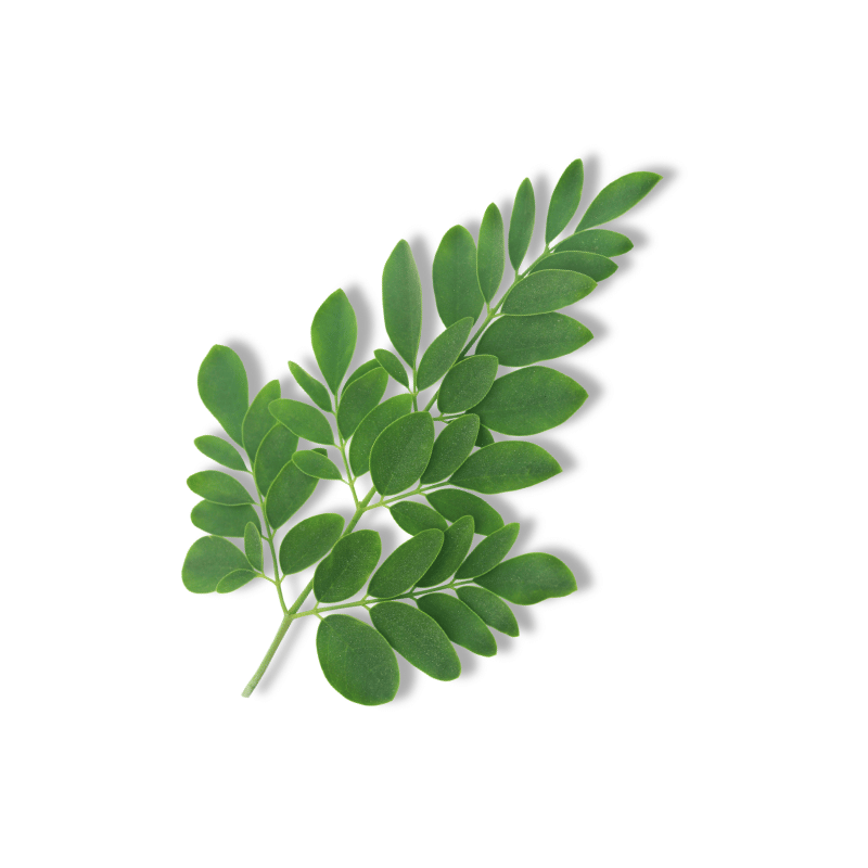 Green Leaves