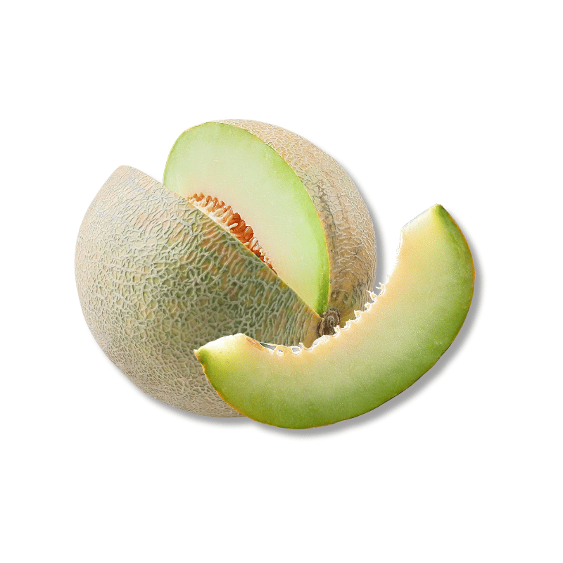 Honeydew
