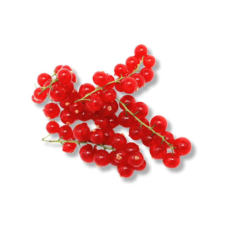 Red Berries