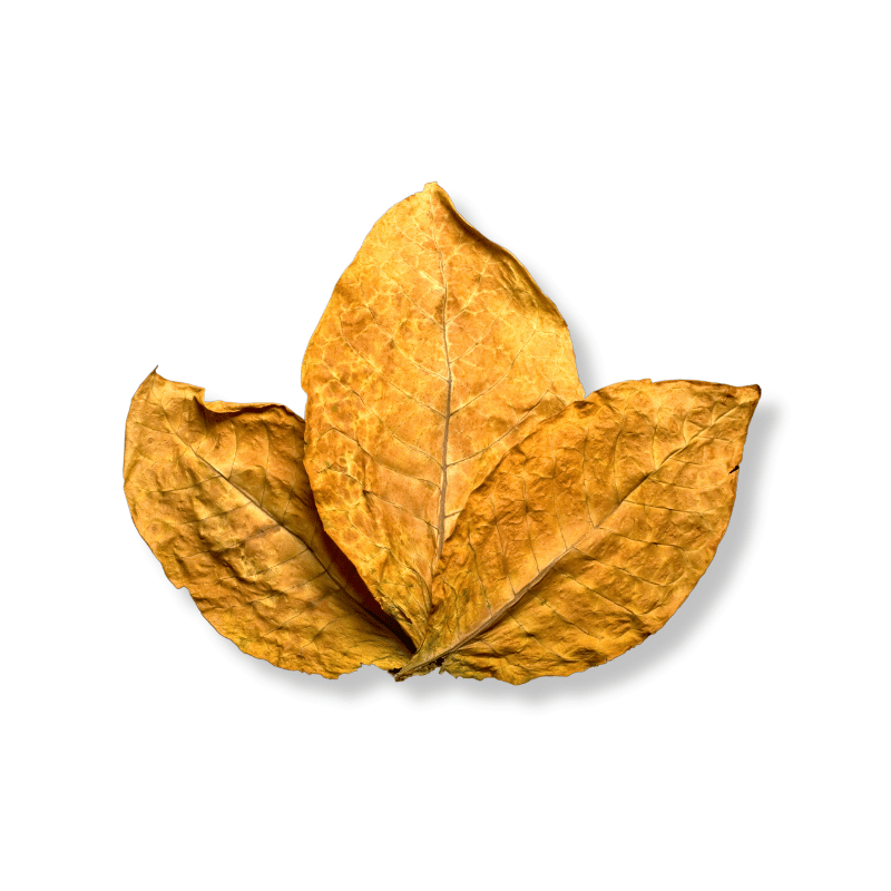 Tobacco