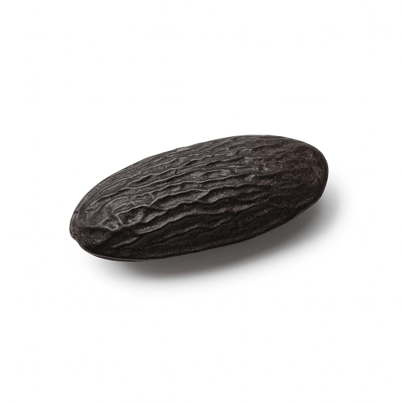 Tonka Bean