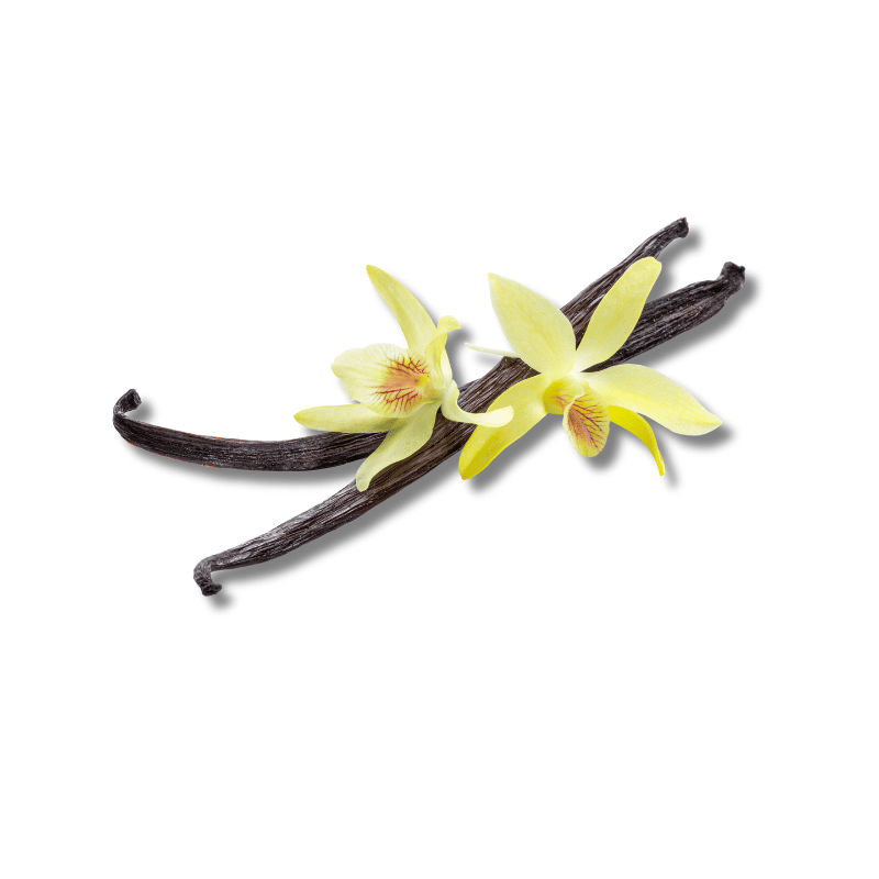 Vanilla