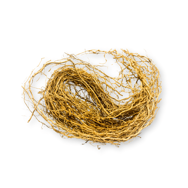 Vetiver