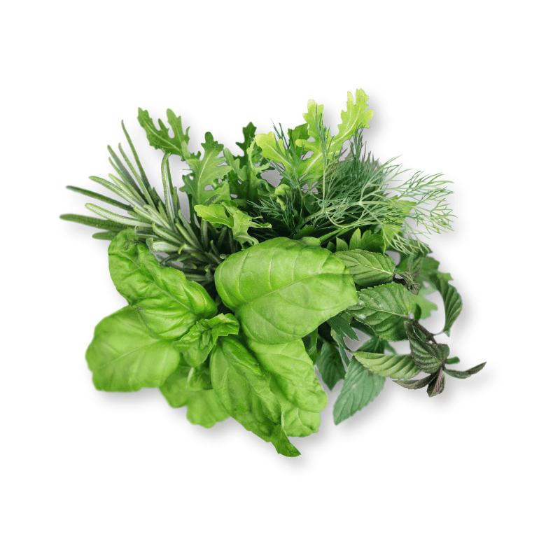 Wild Herbs