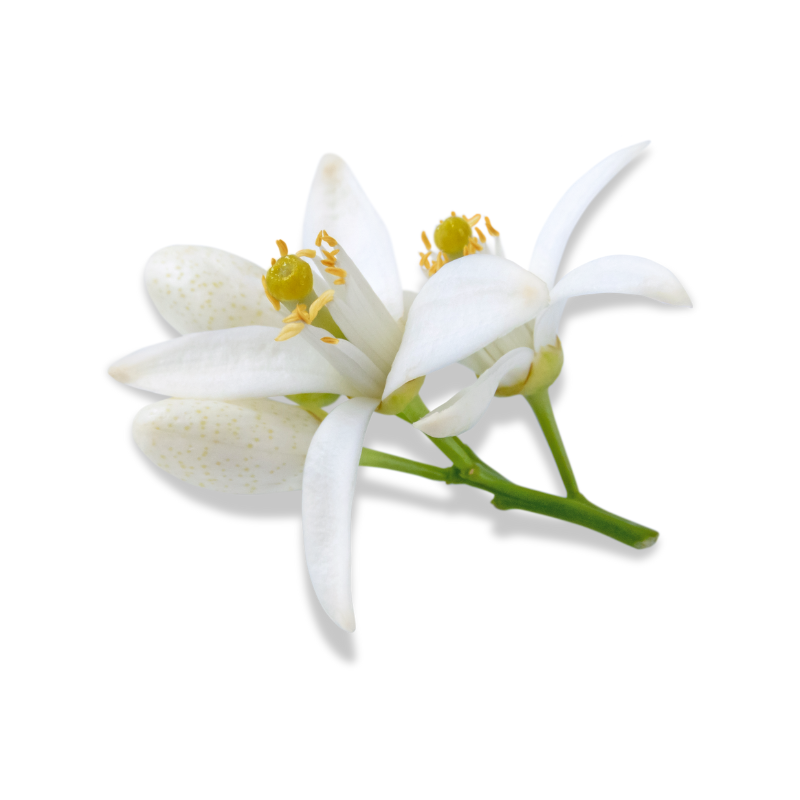 Neroli