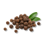 Allspice